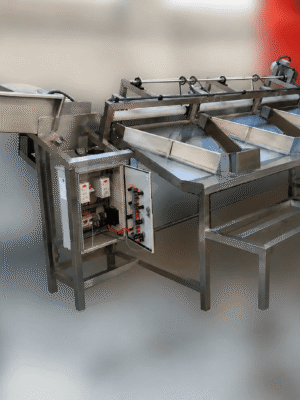 Máquina clasificadora de cítricos con desinfección ultravioleta