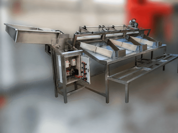 Máquina clasificadora de cítricos con desinfección ultravioleta